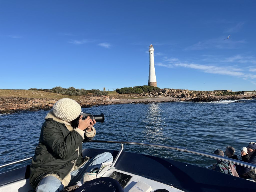Aviturismo en Uruguay: una travesía hacia el encuentro con aves pelágicas y fauna marina